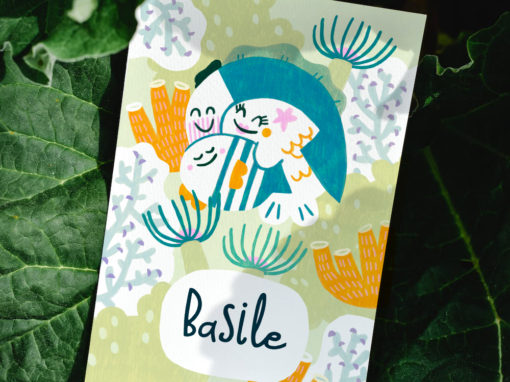 Faire-part naissance Basile